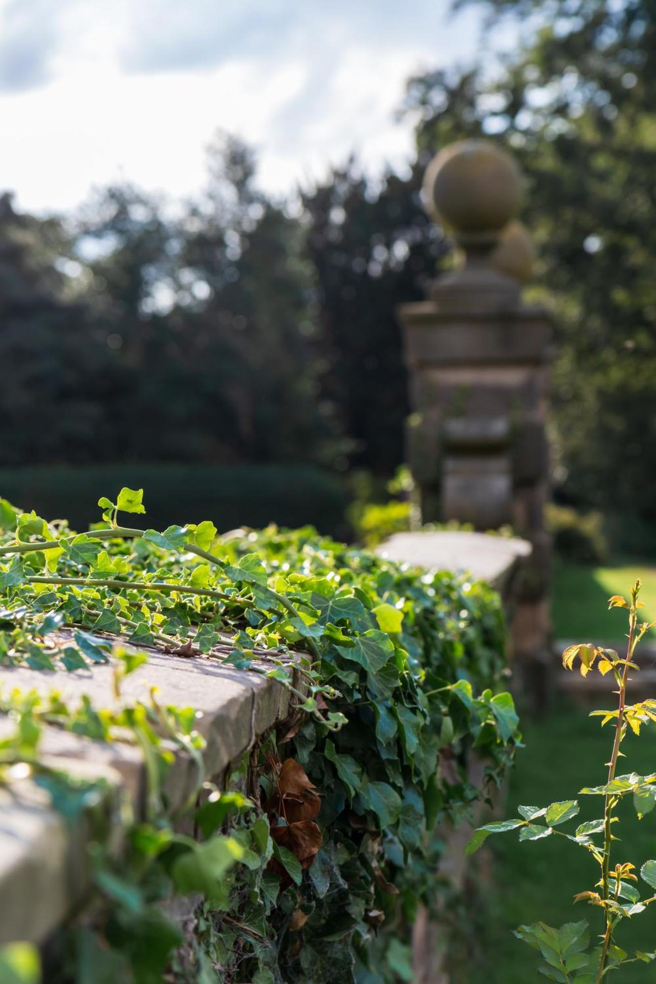 Bosworth Hall Hotel & Spa Market Bosworth Eksteriør bilde